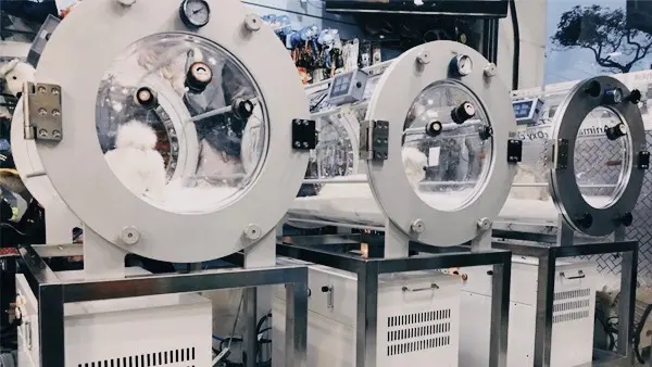 Revolutionierung der Veterinärmedizin: Wie MACYPAN Veterinär-Hyperbarkammern klinischen Erfolg und den ROI von Tierkliniken steigern